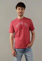 Camiseta AMERICAN EAGLE Rojo de American Eagle