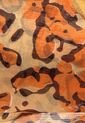 Pashmina Anna Flynn Animal Print Naranja de Anna Flynn
