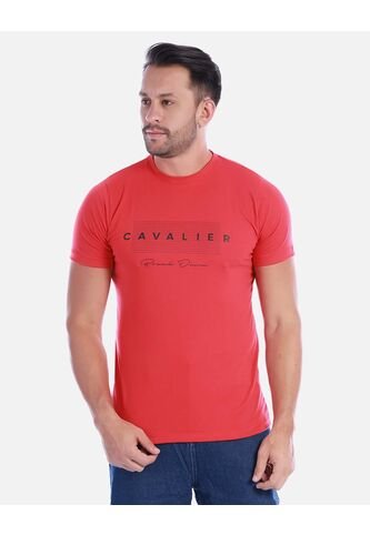Camiseta Hombre Con Estampado Gráfico Arequipe