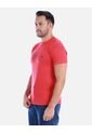 Camiseta Hombre Con Estampado Gráfico de Arequipe