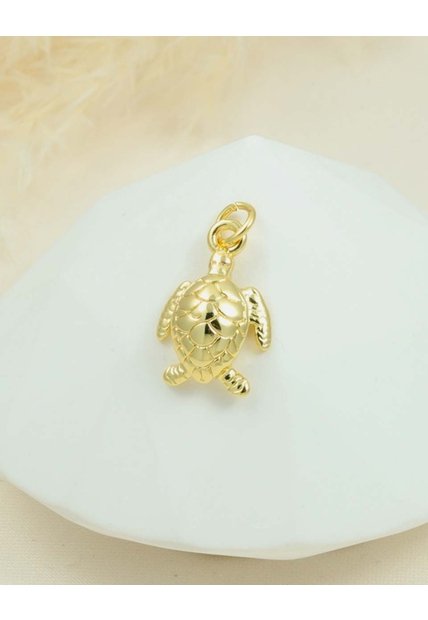 Cadena Con Dije Tortuga En Rodio Para Mujer