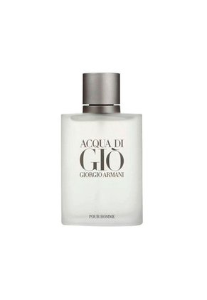 Perfume Acqua Di Gio De Giorgio Armani Para Hombre 100 Ml