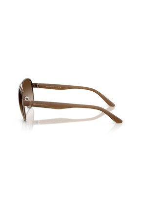 Gafas De Sol Armani Exchange AX2034S Marrón Hombre Degradé