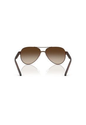 Gafas De Sol Armani Exchange AX2034S Marrón Hombre Degradé
