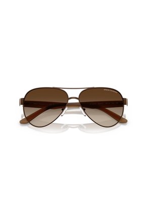 Gafas De Sol Armani Exchange AX2034S Marrón Hombre Degradé