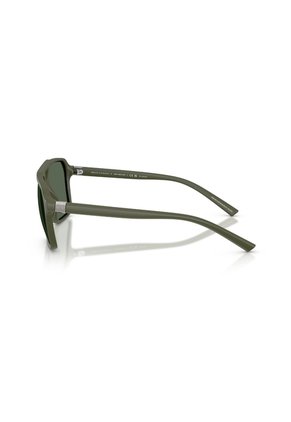 Gafas De Sol Armani Exchange AX4166SU Verde Hombre