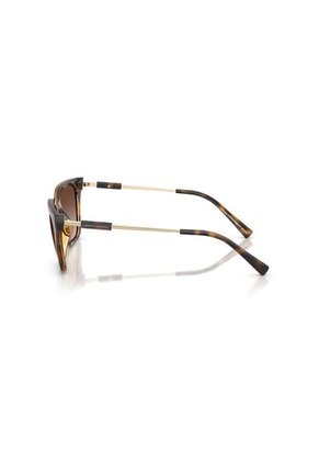 Gafas De Sol Armani Exchange AX4158 Marrón Mujer