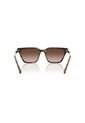 Gafas De Sol Armani Exchange AX4158 Marrón Mujer de Armani Exchange
