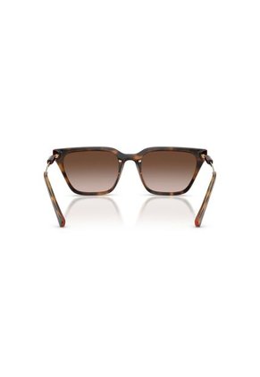 Gafas De Sol Armani Exchange AX4158 Marrón Mujer