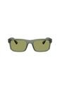 Gafas De Sol Armani Exchange AX4165S Verde Hombre de Armani Exchange