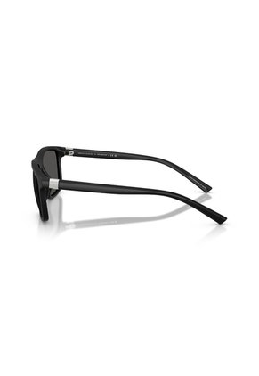 Gafas De Sol Armani Exchange AX4167SU Negro Hombre