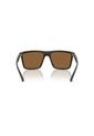 Gafas De Sol Armani Exchange AX4162SU AX4162 Marrón Hombre de Armani Exchange