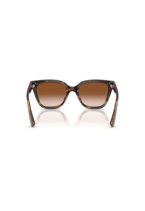 Gafas De Sol Armani Exchange AX4164SU Habana Mujer Degradé