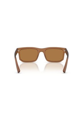 Gafas De Sol Armani Exchange AX4165S Marrón Hombre
