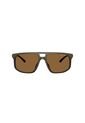Gafas De Sol Armani Exchange AX4161SU AX4161 Marrón Hombre de Armani Exchange