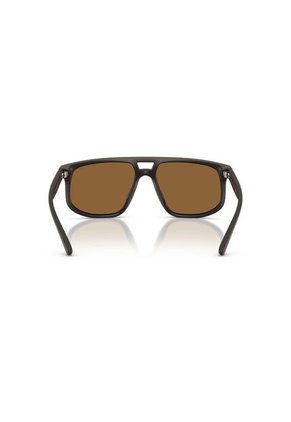 Gafas De Sol Armani Exchange AX4161SU AX4161 Marrón Hombre