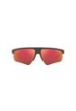 Gafas De Sol Armani Exchange AX4123 Gris Hombre Y Mujer de Armani Exchange