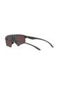 Gafas De Sol Armani Exchange AX4123 Gris Hombre Y Mujer de Armani Exchange