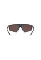 Gafas De Sol Armani Exchange AX4123 Gris Hombre Y Mujer de Armani Exchange