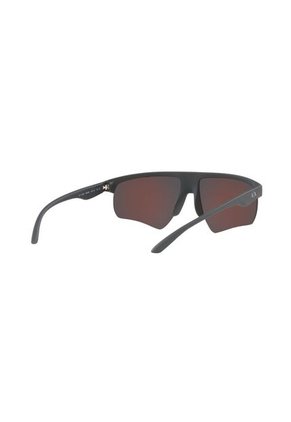 Gafas De Sol Armani Exchange AX4123 Gris Hombre Y Mujer