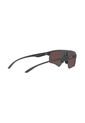 Gafas De Sol Armani Exchange AX4123 Gris Hombre Y Mujer de Armani Exchange