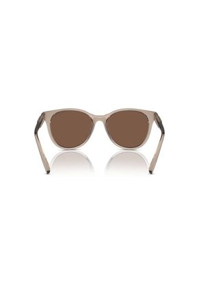 Gafas De Sol Armani Exchange AX4144 Marrón Mujer