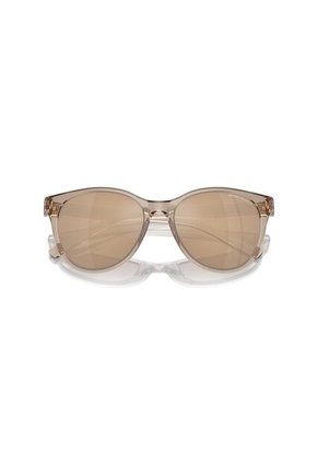 Gafas De Sol Armani Exchange AX4144 Marrón Mujer