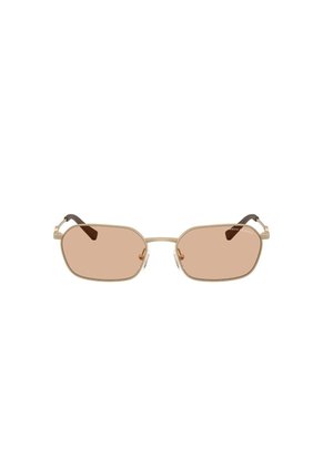 Gafas De Sol Armani Exchange AX2056S Dorado Hombre Y Mujer