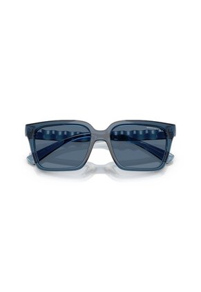 Gafas De Sol Armani Exchange AX4147S Azul Hombre
