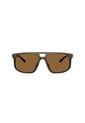 Gafas De Sol Armani Exchange AX4161SU AX4161 Marrón Hombre de Armani Exchange
