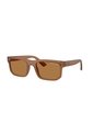 Gafas De Sol Armani Exchange AX4165S Marrón Hombre de Armani Exchange