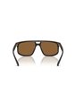 Gafas De Sol Armani Exchange AX4161SU AX4161 Marrón Hombre de Armani Exchange