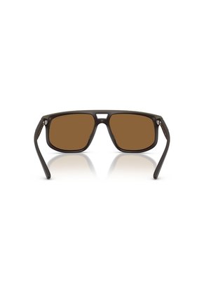 Gafas De Sol Armani Exchange AX4161SU AX4161 Marrón Hombre