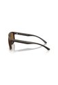 Gafas De Sol Armani Exchange AX4161SU AX4161 Marrón Hombre de Armani Exchange