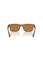 Gafas De Sol Armani Exchange AX4165S Marrón Hombre de Armani Exchange