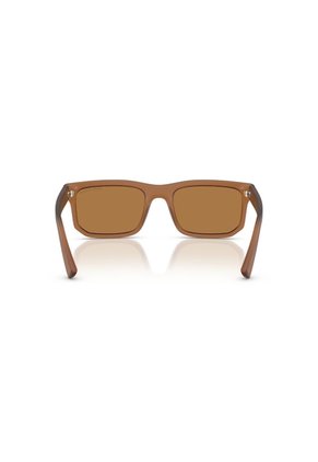 Gafas De Sol Armani Exchange AX4165S Marrón Hombre