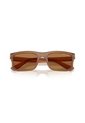 Gafas De Sol Armani Exchange AX4165S Marrón Hombre de Armani Exchange