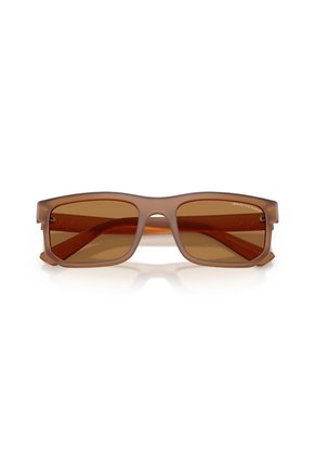 Gafas De Sol Armani Exchange AX4165S Marrón Hombre