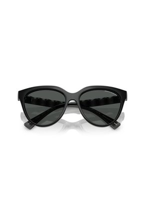 Gafas De Sol Armani Exchange AX4148 Gris Mujer