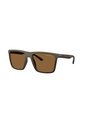 Gafas De Sol Armani Exchange AX4162SU AX4162 Marrón Hombre de Armani Exchange