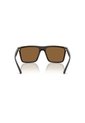 Gafas De Sol Armani Exchange AX4162SU AX4162 Marrón Hombre de Armani Exchange