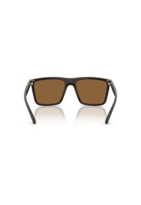 Gafas De Sol Armani Exchange AX4162SU AX4162 Marrón Hombre