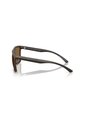 Gafas De Sol Armani Exchange AX4162SU AX4162 Marrón Hombre de Armani Exchange