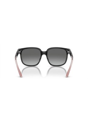 Gafas De Sol Armani Exchange AX4136 Negro Mujer