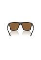 Gafas De Sol Armani Exchange AX4162SU AX4162 Marrón Hombre de Armani Exchange