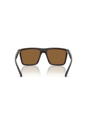 Gafas De Sol Armani Exchange AX4162SU AX4162 Marrón Hombre