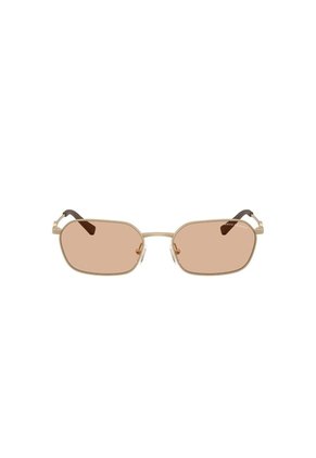 Gafas De Sol Armani Exchange AX2056S Dorado Hombre Y Mujer