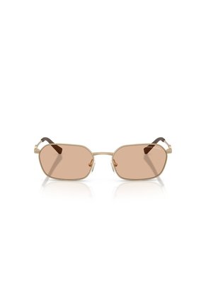 Gafas De Sol Armani Exchange AX2056S Dorado Hombre Y Mujer