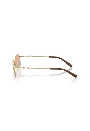 Gafas De Sol Armani Exchange AX2056S Dorado Hombre Y Mujer