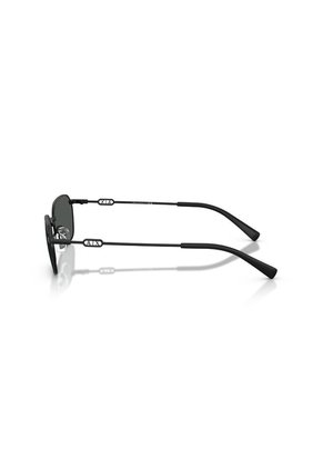 Gafas De Sol Armani Exchange AX2056S Negro Hombre Y Mujer